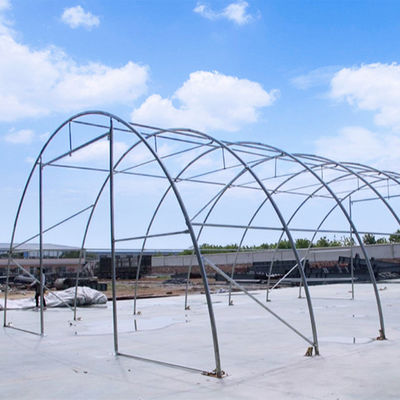 Litong Outdoor Landwirtschaftliche Gewächshäuser Gartenanlage Transparent Poly Tunnel Lagerhaus PVC-Platte